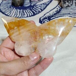 Golden Healer Butterfly